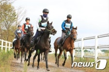 춘천시, 공공승마장 조성…유소년 승마단도 운영