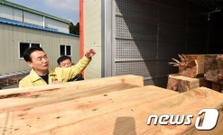 소나무재선충병 피해 고사목 자원화 사업 추진 상황 점검