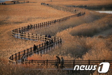 깊어가는 가을 정취의 절정은 생태수도 순천에서