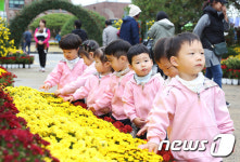 당진시 국화전시회 성황리에 종료