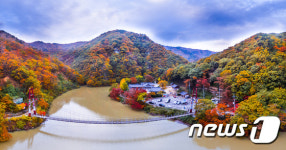 알록달록 오색 옷 갈아입은 오어사