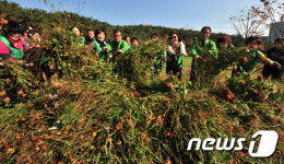 새마을 공동체 정원 우리 손으로 만듭니다