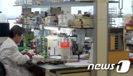 국립보건연구원에서 실험하는 연구원