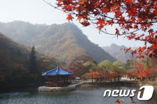 정읍시, 내장산국립공원 대표 관광지 육성사업 순조
