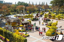 국화향기 가득한 울산 북구청광장 클린환경 나눔장터