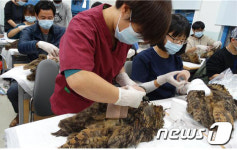 공주대, 11~13일 야생동물 구조·치료 및 관리교육