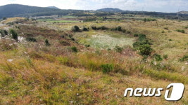 ‘제주 벵듸’ 꼭 지켜야 할 자연·문화유산으로 선정