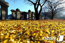 창녕 만옥정 공원의 가을 풍경