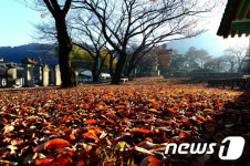 창녕 만옥정 공원의 가을 풍경