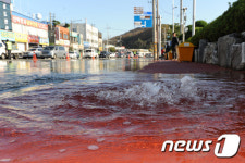 보글보글 도로에 유입되는 바닷물
