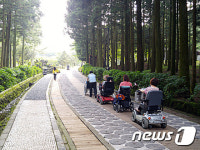 올해 제주절물자연휴양림 입장객 70만명 돌파