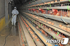 조류독감을 차단하라