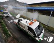 조류독감 차단 이상무