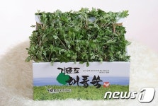 거문도 해풍쑥영농조합법인 6차산업 경진대회 최우수
