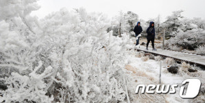 [화보]눈꽃 세상으로 변한 제주 한라산
