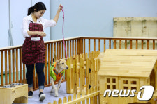 반려견과 함께하는 펫카페