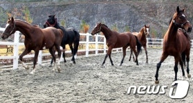 함안승마장, ‘승용조련 승마시설’ 지정