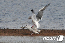 친구야 나눠먹자