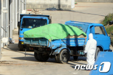 실려가는 AI 검출 종오리