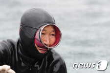 한평생 바다와 함께하는 제주해녀