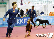 FCI 국제 도그쇼