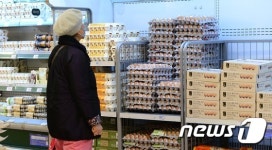 계란 수급 차질로 계란값 12월부터 오를 전망