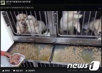 청주시반려동물보호센터 동물 집단 폐사…부실운영 논란