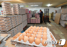 AI 확산에 달걀 유통업계 울상