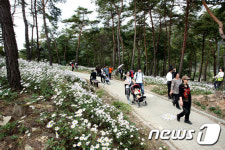 [시티투어 탐방]전북의 속살 고스란히…섬진강 따라 꿈길