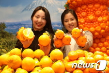 롯데백화점, ‘제주 페스티벌(Jeju Festival)’ 행사