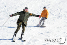 겨울엔 역시 스키죠