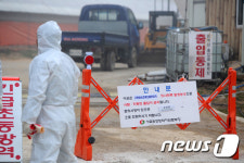 AI 한달째 확산…세번째 이동중지 명령 이번엔 잡힐까