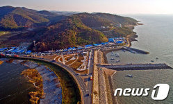 제15회 보령 천북굴축제…16~25일 천북굴단지서 열려