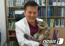 [김재영 원장의 펫토피아] 새끼고양이 노리와의 이별