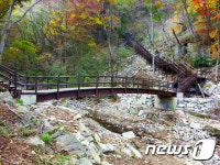 정읍시, 전북 대표관광지 육성 최우수…내장산 사계절관광지 탄력