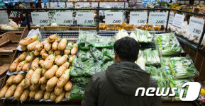 겨울철 채솟값 폭등