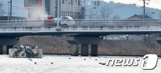 AI 확산 안성천 주변 방역 강화