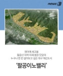 [카드뉴스] 팔공산 갓바위도 반한 ‘팔공이노밸리’
