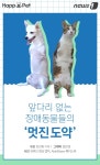 [펫카드] 앞다리 없는 장애동물들의 멋진 도약