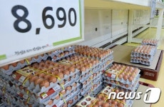 황금알 된 달걀...한판 가격 8000원 돌파