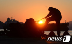 희망찬 대한민국의 태양이 뜬다