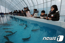 송어야 걸려라