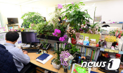 농식품부의 식물원 처럼 꾸며진 업무공간