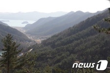 고성군, 갈모봉 산림욕장 연계 임도 완공