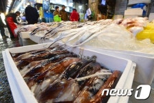 오징어, 갈치 등 생선 값 들썩
