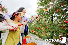 장수군 농업기술센터, 6월30일까지 사과나무 분양