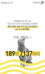 [펫카드] 고양이 예방접종, 필수일까 선택일까