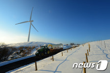 설경이 아름다운 대관령 하늘목장…겨울체험 거리 풍성
