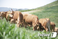 강원축산기술연구소, 가축유전자원관리기관중 최우수