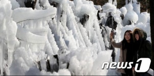 대전 동구 상소동 산림욕장은 지금 얼음왕국